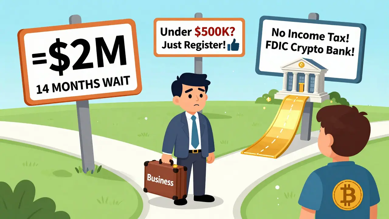Cartoon scene of a crypto entrepreneur choosing between three state paths with exaggerated regulatory signs.